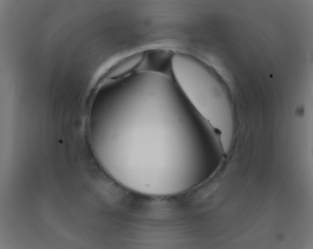 X0000092011316200709271521