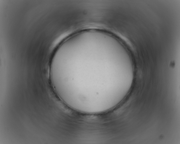 X0000092011317200709271521