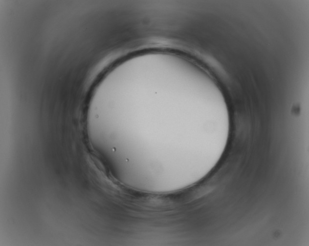 X0000092011318200709271521