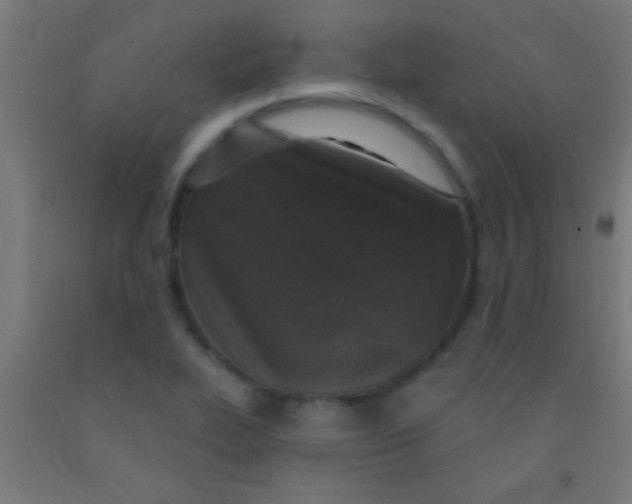 X0000092011319200709271521