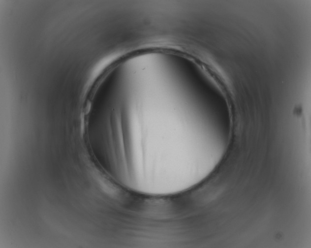 X0000092011320200709271521