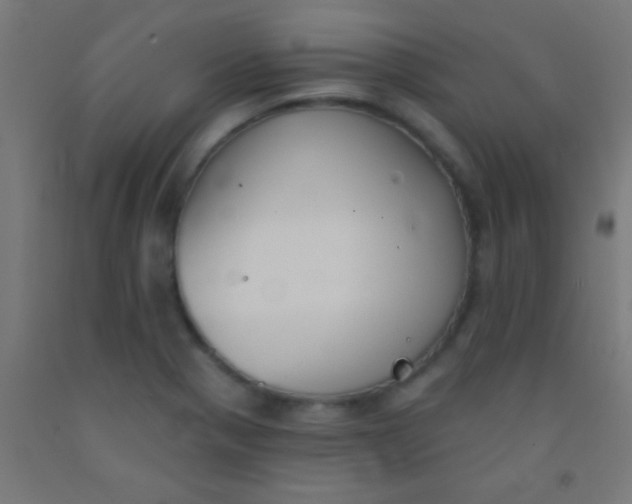 X0000092011321200709271521