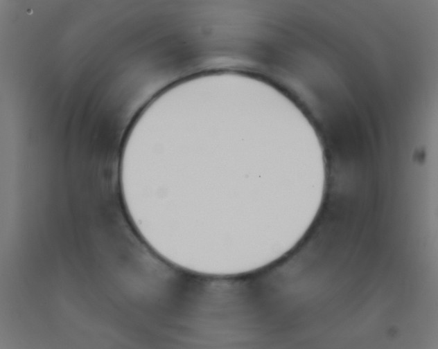 X0000092011322200709271521