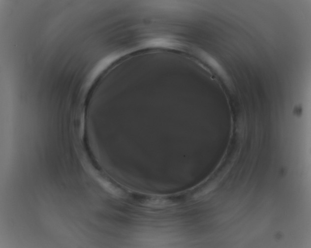 X0000092011323200709271521