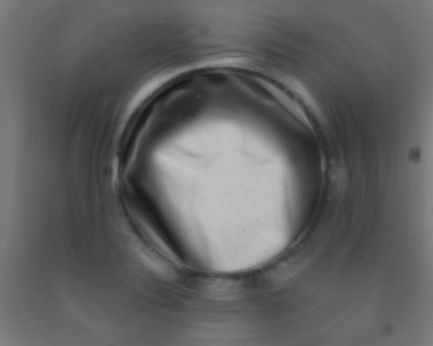 X0000092011324200709271521