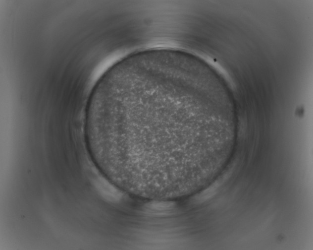 X0000092011325200709271521