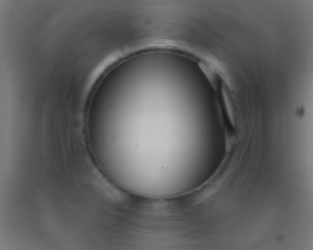 X0000092011326200709271521