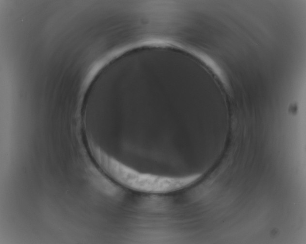 X0000092011327200709271521