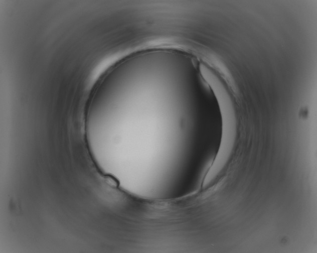 X0000092011328200709271521