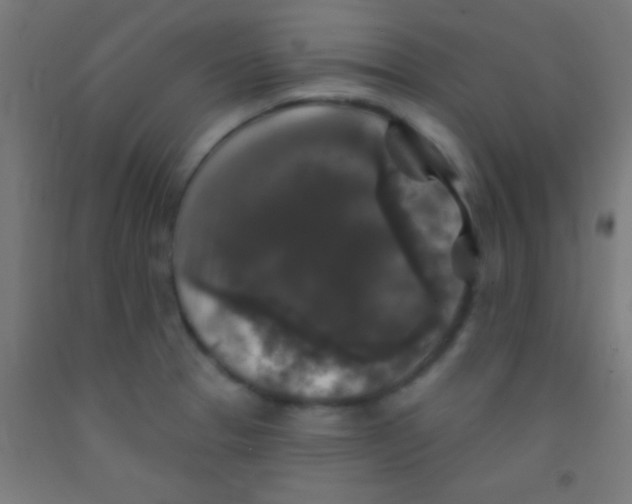 X0000092011329200709271521