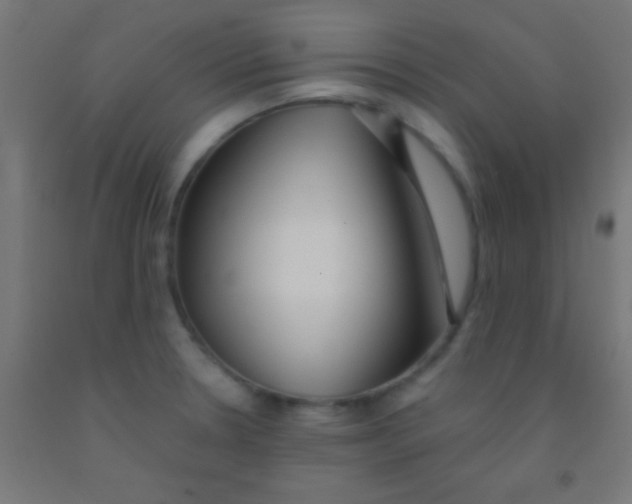 X0000092011330200709271521