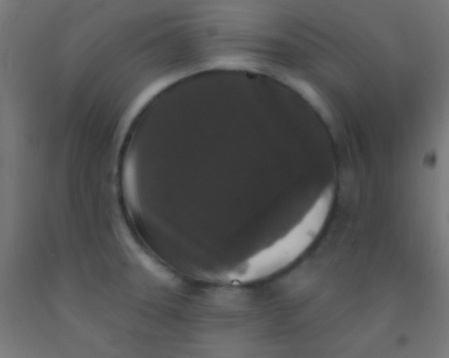 X0000092011331200709271521