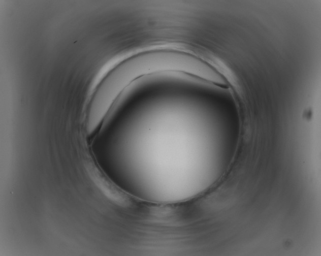 X0000092011332200709271521