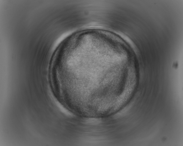 X0000092011333200709271521