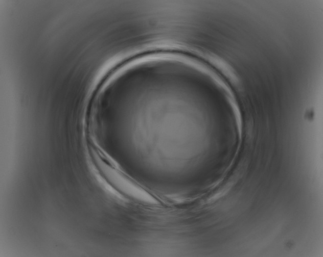 X0000092011334200709271521