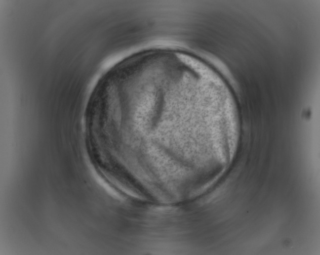 X0000092011335200709271521