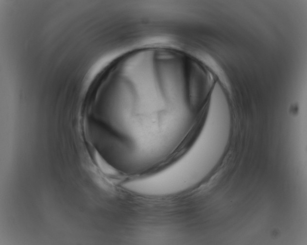 X0000092011336200709271521