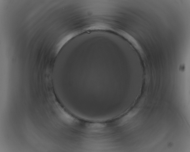 X0000092011337200709271521