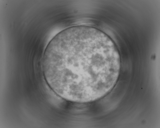 X0000092011338200709271521