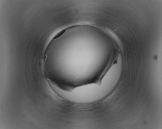 X0000092011340200709271521