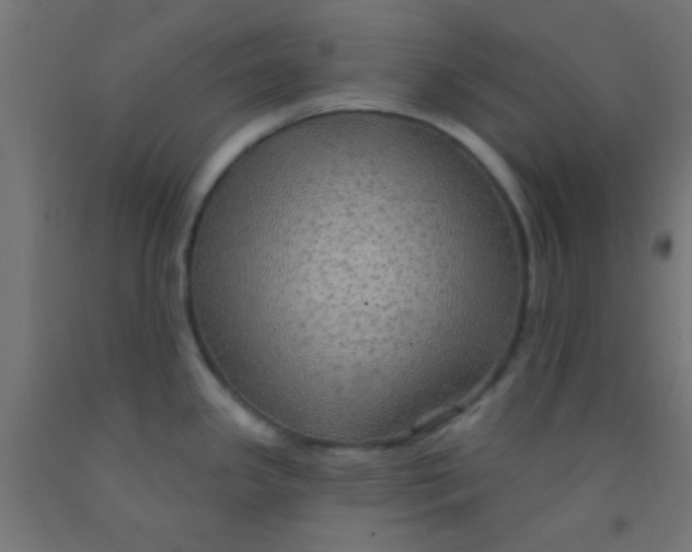 X0000092011341200709271521