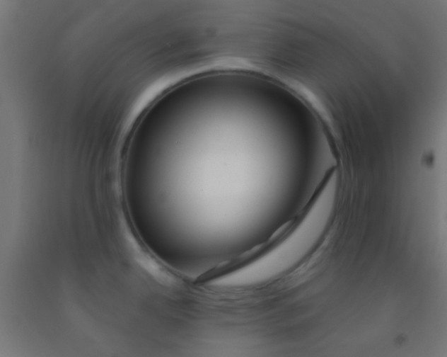 X0000092011342200709271521