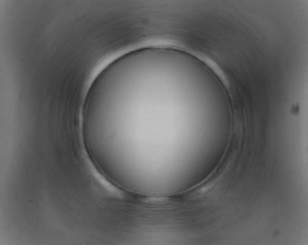 X0000092011343200709271521