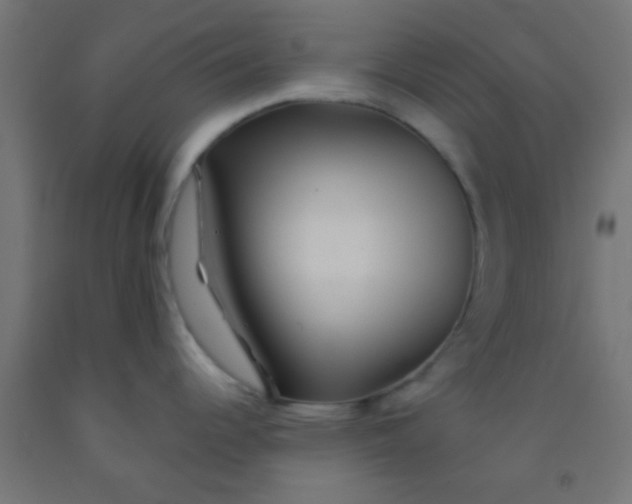 X0000092011344200709271521