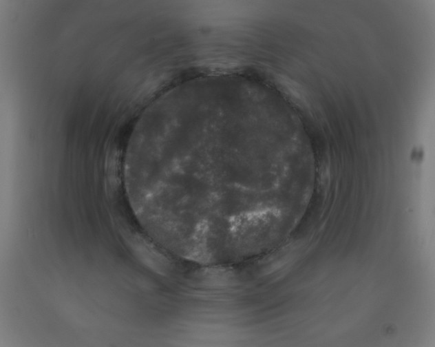 X0000092011346200709271520