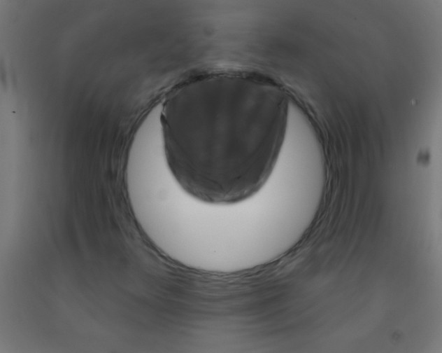 X0000092011348200709271520