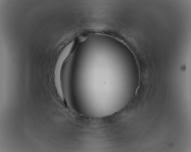 X0000092011349200709271520