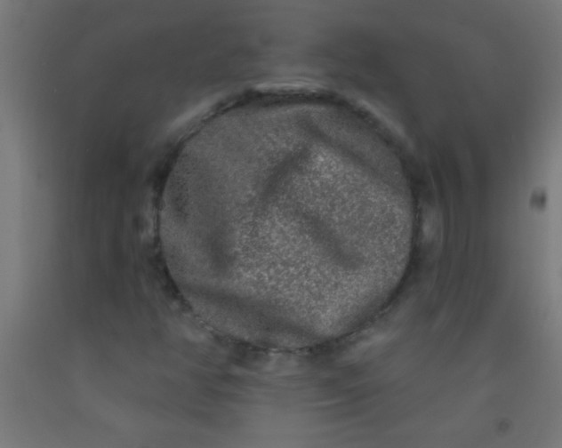 X0000092011350200709271520