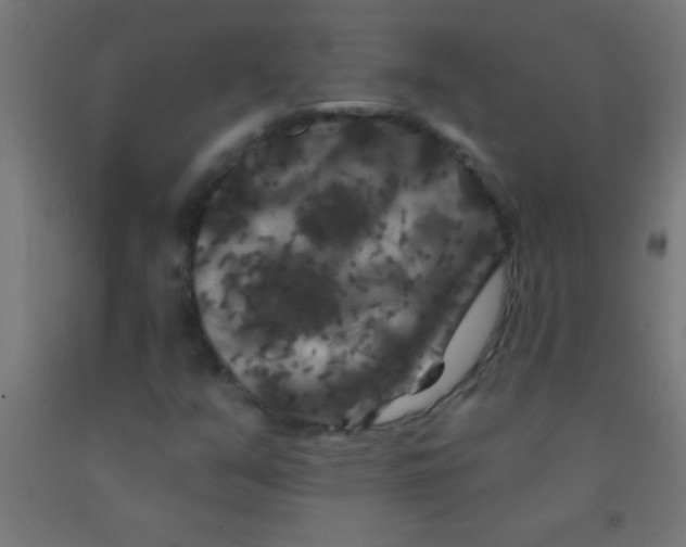 X0000092011351200709271520