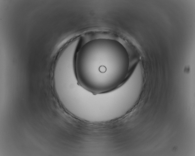 X0000092011352200709271520