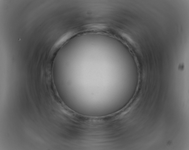 X0000092011354200709271520