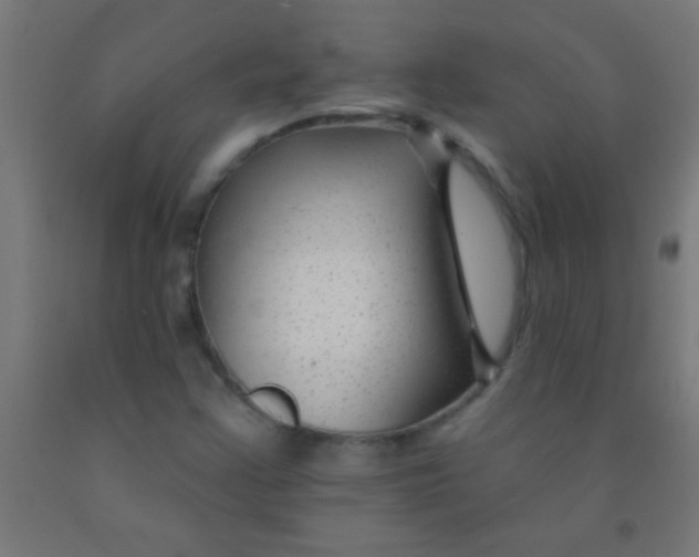 X0000092011355200709271520