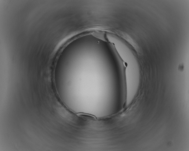 X0000092011356200709271520