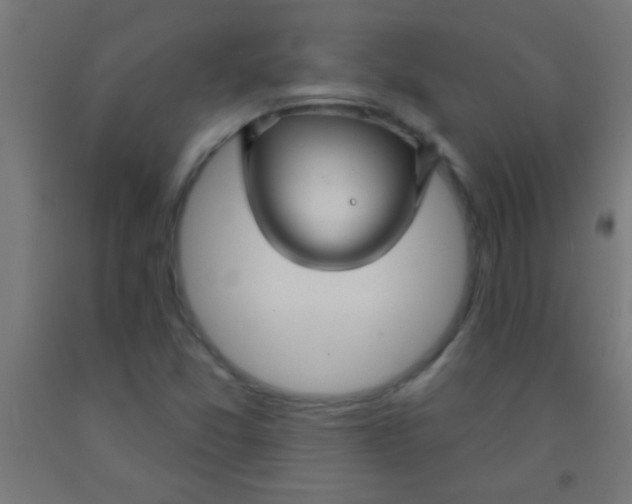 X0000092011357200709271520