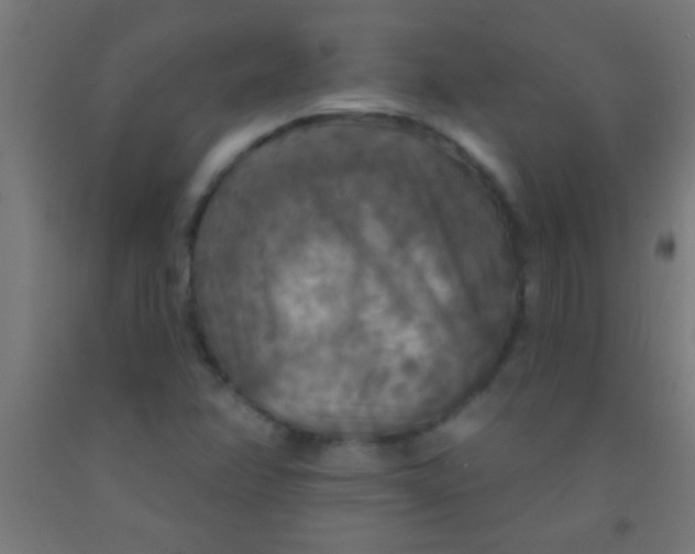 X0000092011358200709271520