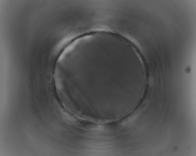 X0000092011359200709271520