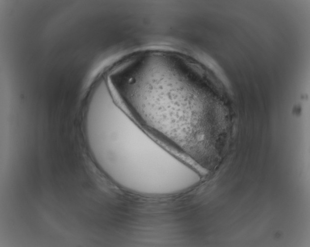 X0000092011360200709271520