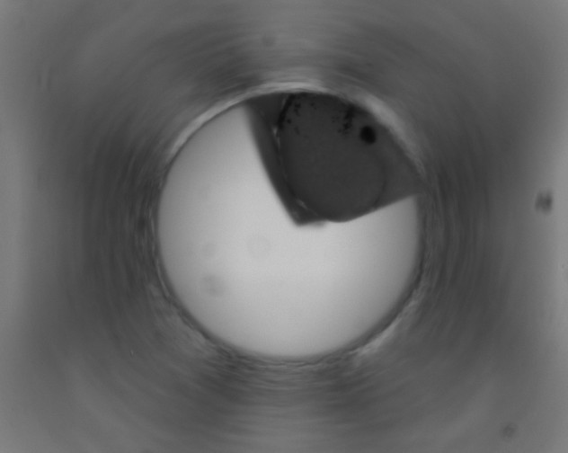 X0000092011361200709271520