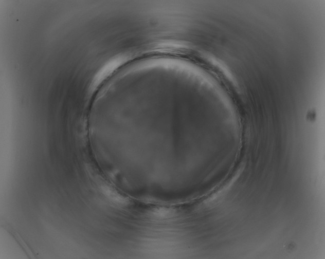 X0000092011362200709271520