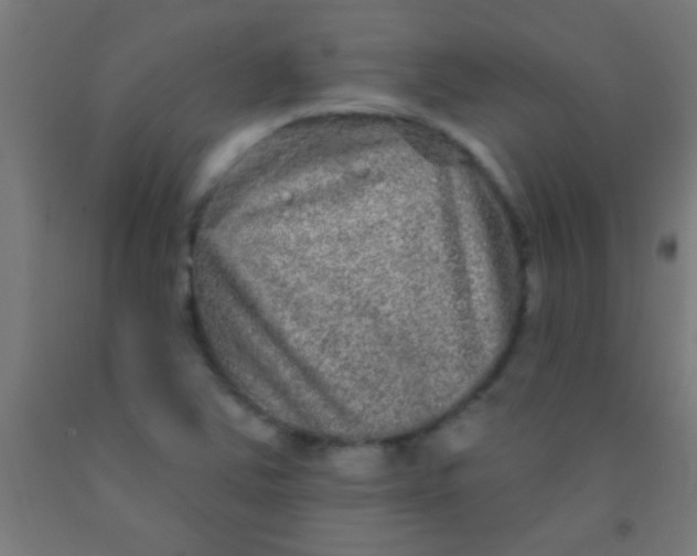 X0000092011363200709271520