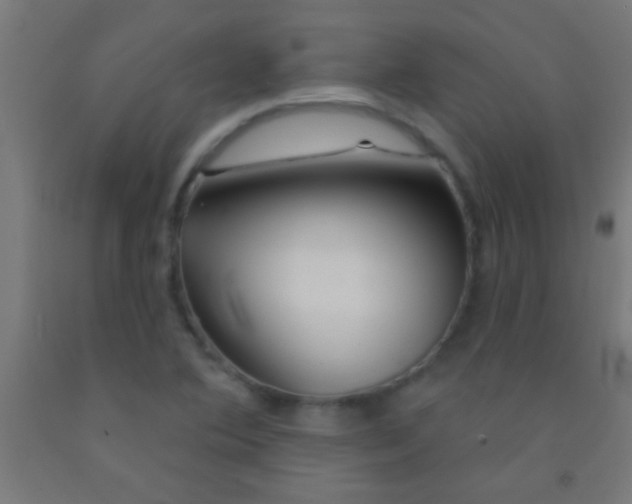 X0000092011364200709271520