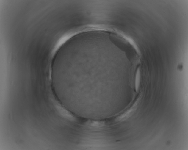 X0000092011365200709271520