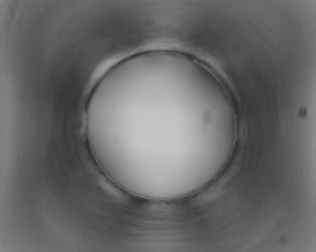 X0000092011366200709271520