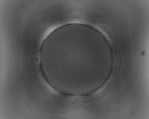 X0000092011367200709271520