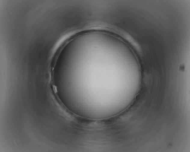 X0000092011368200709271520