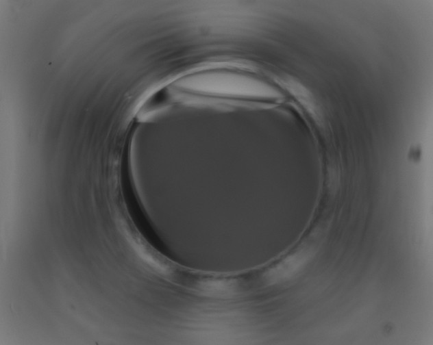 X0000092011369200709271520